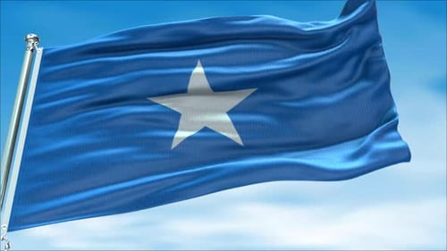 Realistic Waving Flag Seamless Loop