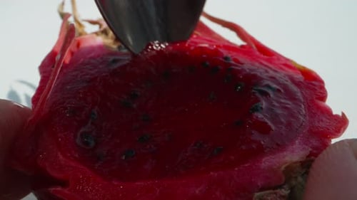 Red Pitaya Fruit Being Scooped with a Spoon