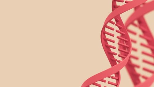 Red DNA Double Helix Strand Rotates on Beige Background Loop Animation Science and Biotechnology