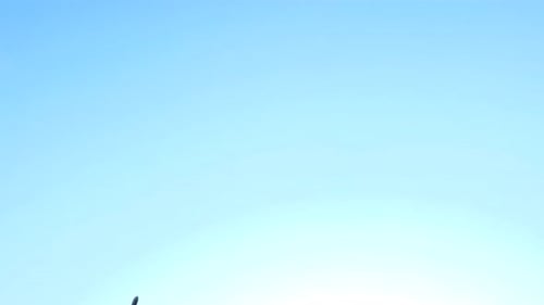 An Airplane Takes Off Against a Blue Sky