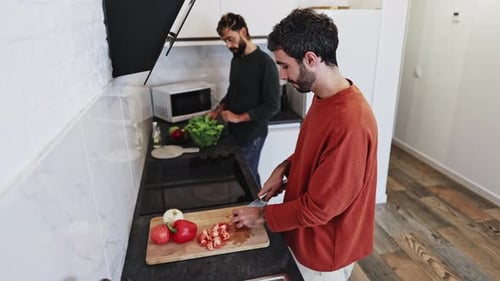 Men Preparing Food Together in Modern Kitchen