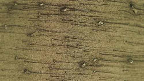 Vertical Video Sand Texture Background Beige Grain