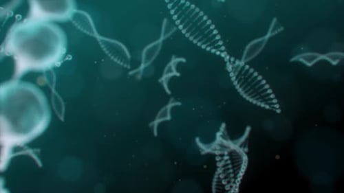 Conceptual design of genetic information for science animation