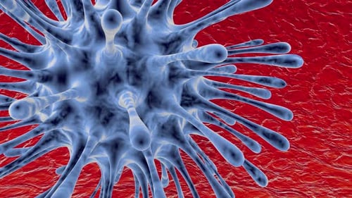 Animated 3D Virus Cell Rotating in Microscopic View