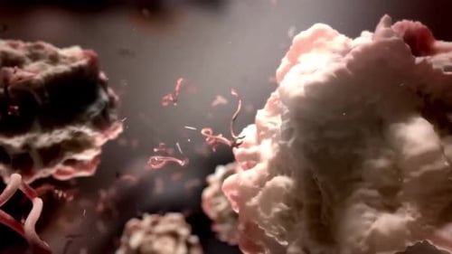 Microscopic Virus Infection of Human Cells 3D Animation