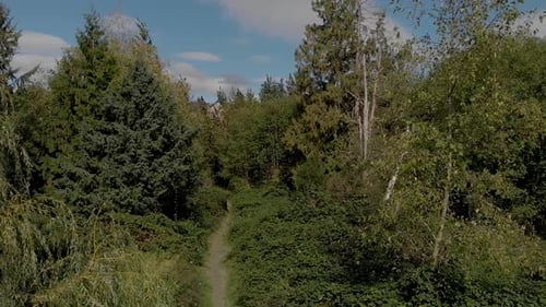 Drone 4K filmé par un drone : Cloverdale suit un sentier de randonnée et de vélo boisé avancé dans la forêt, prêt à