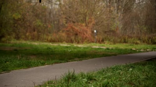 Smashed Television Destroyed on Pathway