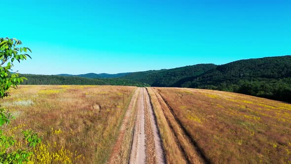 Drone Push Along Rural Path Through Golden Fields, Holidays Stock ...