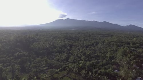 Aerial gardens and mountains