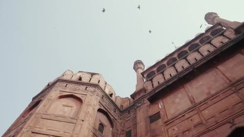 Oiseaux survolant le Fort Rouge à Delhi en Inde