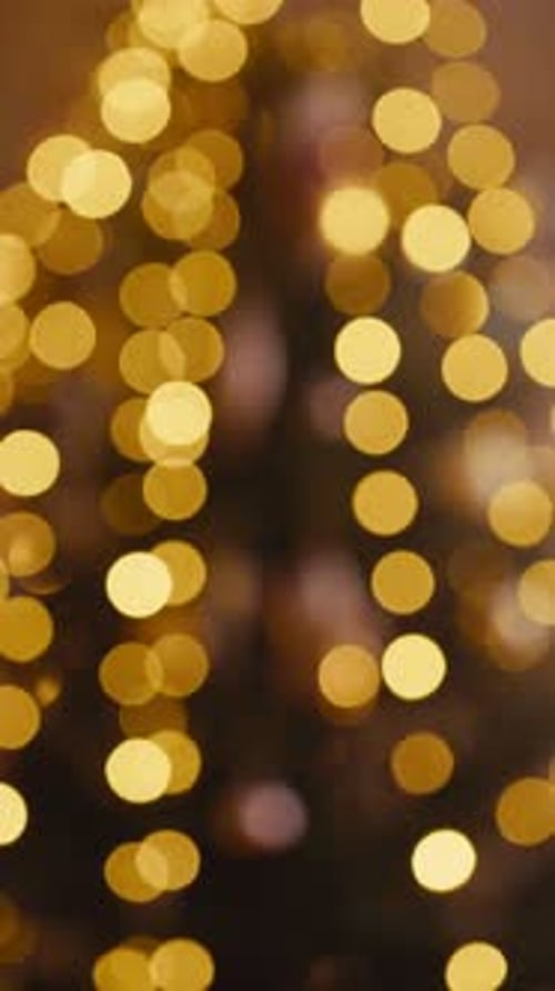 A Beautiful Christmas Tree Shot with a Fast Lens in Blur Showing Only a Blurred Background Intended