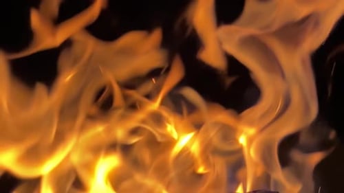 Golden Flames Dancing Against Black Background