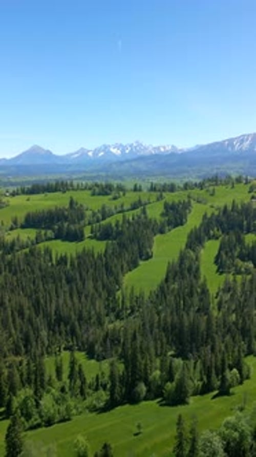 Paysage idyllique de pâturages verdoyants et de montagnes des Tatras en été en Pologne