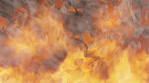 Burning Money Stock Market Economy Crash Loop