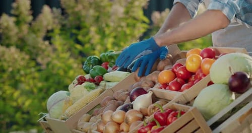 A Salesman Wearing Gloves Arranges Seasonal Vegetables at a Farmer's Market Counter