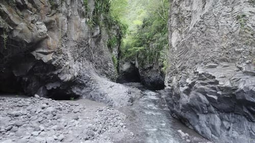 Narrow gorge river in jungle
