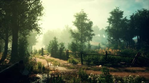 A Serene Forest Path Surrounded By Lush Greenery