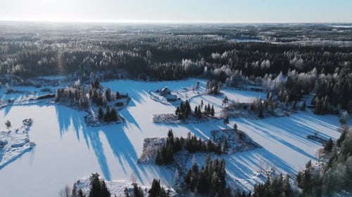 Aerial view of forest and snow, Finland.