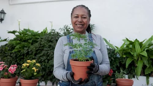 Happy farmer African senior woman gardening outdoor in home backyard terrace