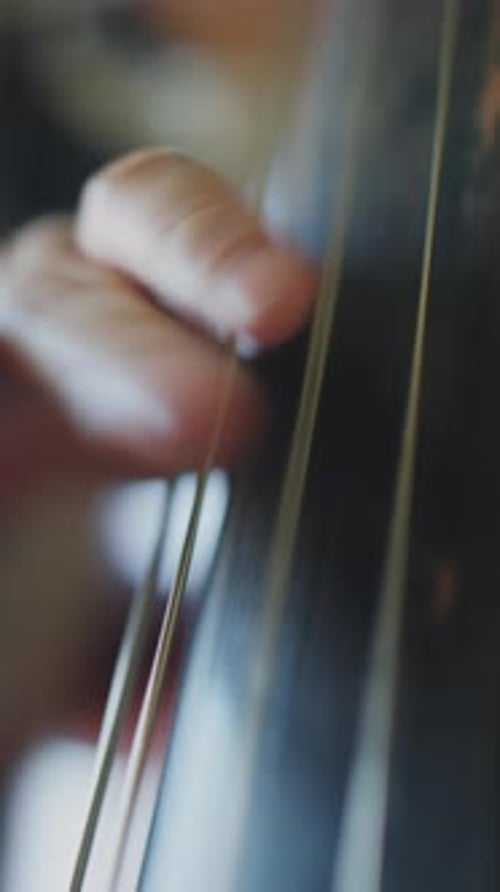Hand Playing Strings on Stringed Instrument