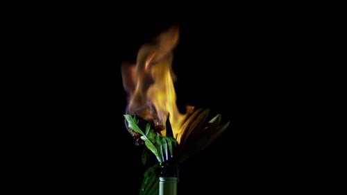 Eine brennende Blume in einer Vase