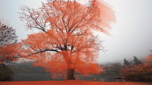 An old oak tree standing on the bank of the small pond. LIbocky rybnik pond in Prague. Old tree spra