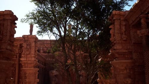 Un vieux bâtiment avec un arbre devant