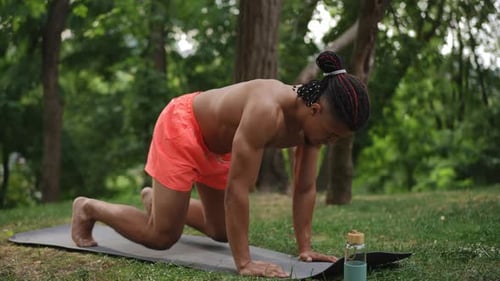 Shirtless Man Does Bodyweight Workout in Green Park