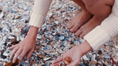 Hands, woman, and beach sea shell collection during summer vacation