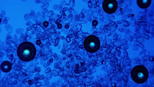 Abstract Blue Microscopic Bubbles and Particles Animation