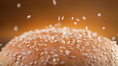 Burger Bun Topped with Sesame Seeds