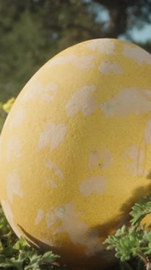 Easter egg painted in yellow and white dots lies on the green grass next to yellow flowers. Dolly sl