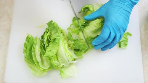 Fresh Iceberg Salad Cutting Close Up in Kitchen