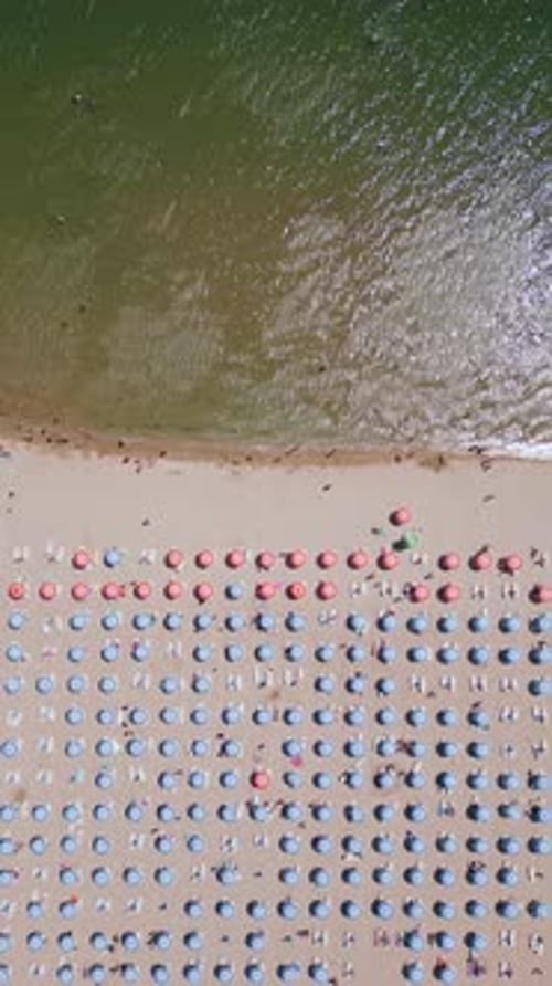 Drone Video Capturing a Topdown View of a Beach with Rows of Colorful Umbrellas Lined Up Perfectly