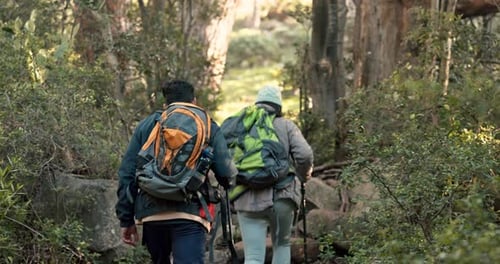 Couple, hiking and walking in forest, travel and journey in nature park with date