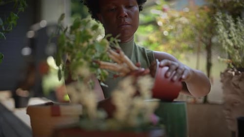 Woman Transplanting Potted Plant in Sunny Home Garden