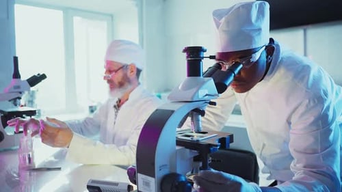 Scientists Working in Medical Research Laboratory
