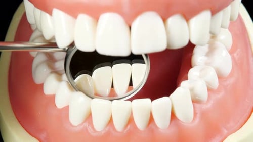 Patient at a Dentist Appointment in a Dental Clinic. View from Inside the Dental Jaw. Tooth Model