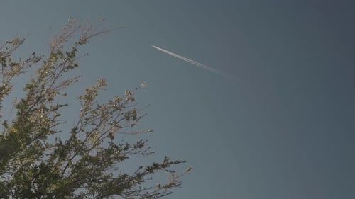 Plane Flies through Sky Leaving Contrails and Chemtrails Behind with Tree in the Foreground 4K