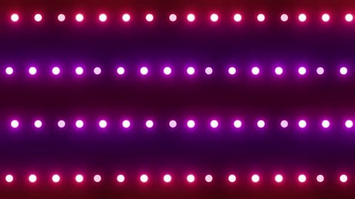 Dynamic stage lights pulsate with vibrant energy, creating a captivating visual spectacle.