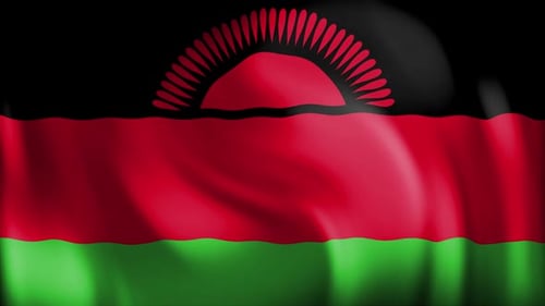 Realistic Looping Animation of the Malawi Flag