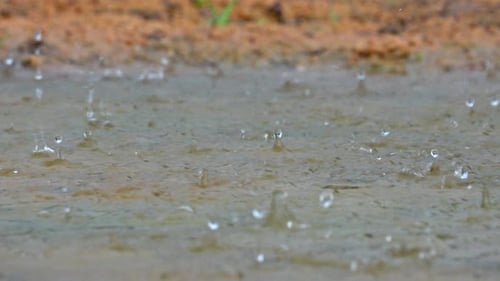 Rain Drops Splashing in a Puddle Close Up