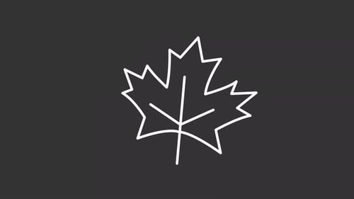 Animated maple leaf white icon