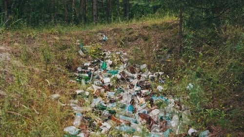 Lot of Garbage Thrown Out in Green Forest