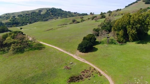 Dramatic Mountainous Hiking Trails: Aerial Tour of Marin County
