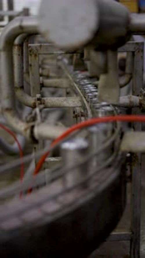 Line production of canned fish factory.