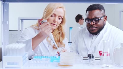 Scientists Working in Bright Laboratory on Medical Research