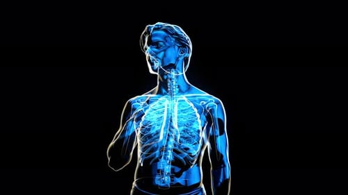 Conceptual 3D animation of a man holding his chest with visible lungs