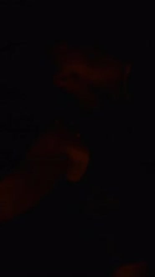 Mysterious Performer in Dark Atmospheric Lighting Gracefully Manipulating Glowing Fire Poi Revealing