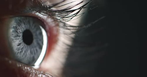 Œil de femme, vision de surveillance humaine et zoom biométrique sur la cornée optique bleue